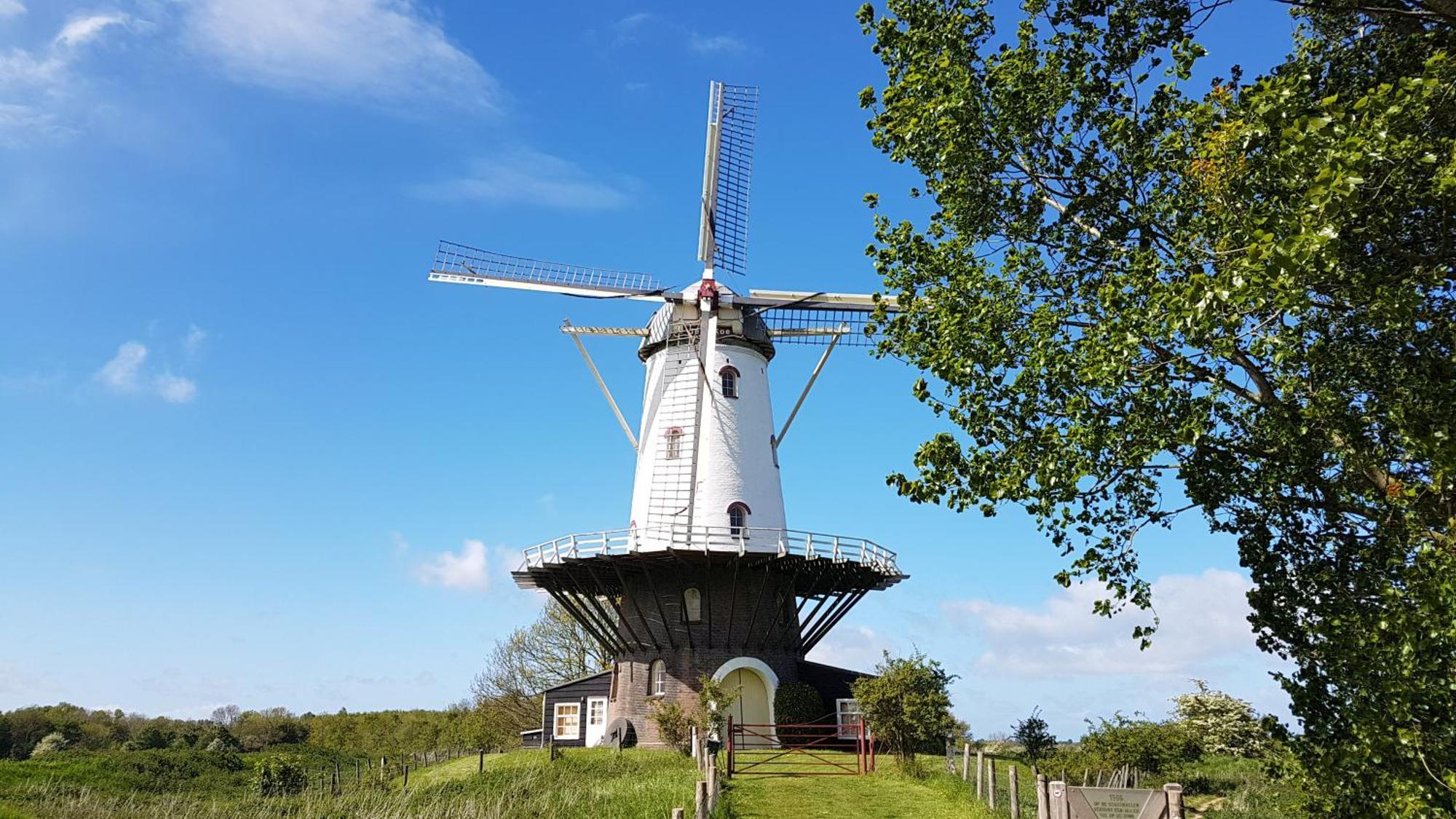 Olmenduin Chalet Veere Zeeland 塞罗斯凯尔克 外观 照片