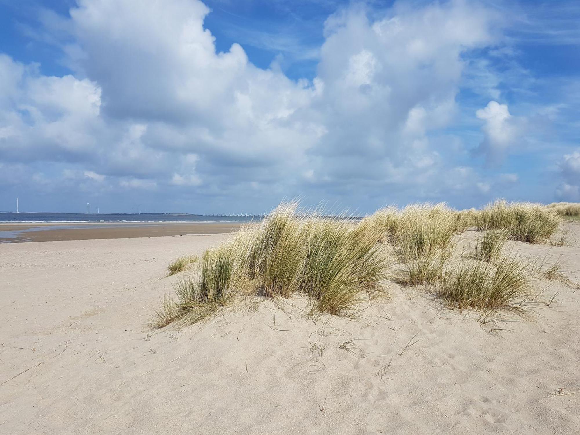 Olmenduin Chalet Veere Zeeland 塞罗斯凯尔克 外观 照片