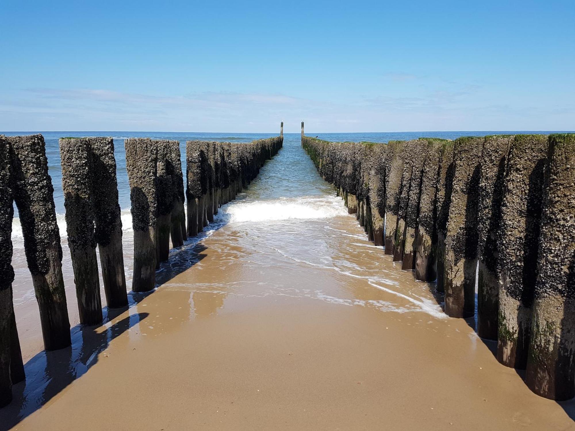 Olmenduin Chalet Veere Zeeland 塞罗斯凯尔克 外观 照片